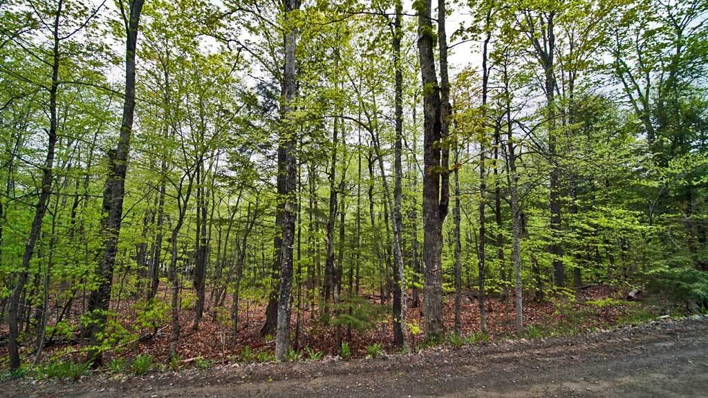 101 South South Shore Road Linneus, ME 04730 - Photo 92 of 95 land-101-south-rd-drews-lak