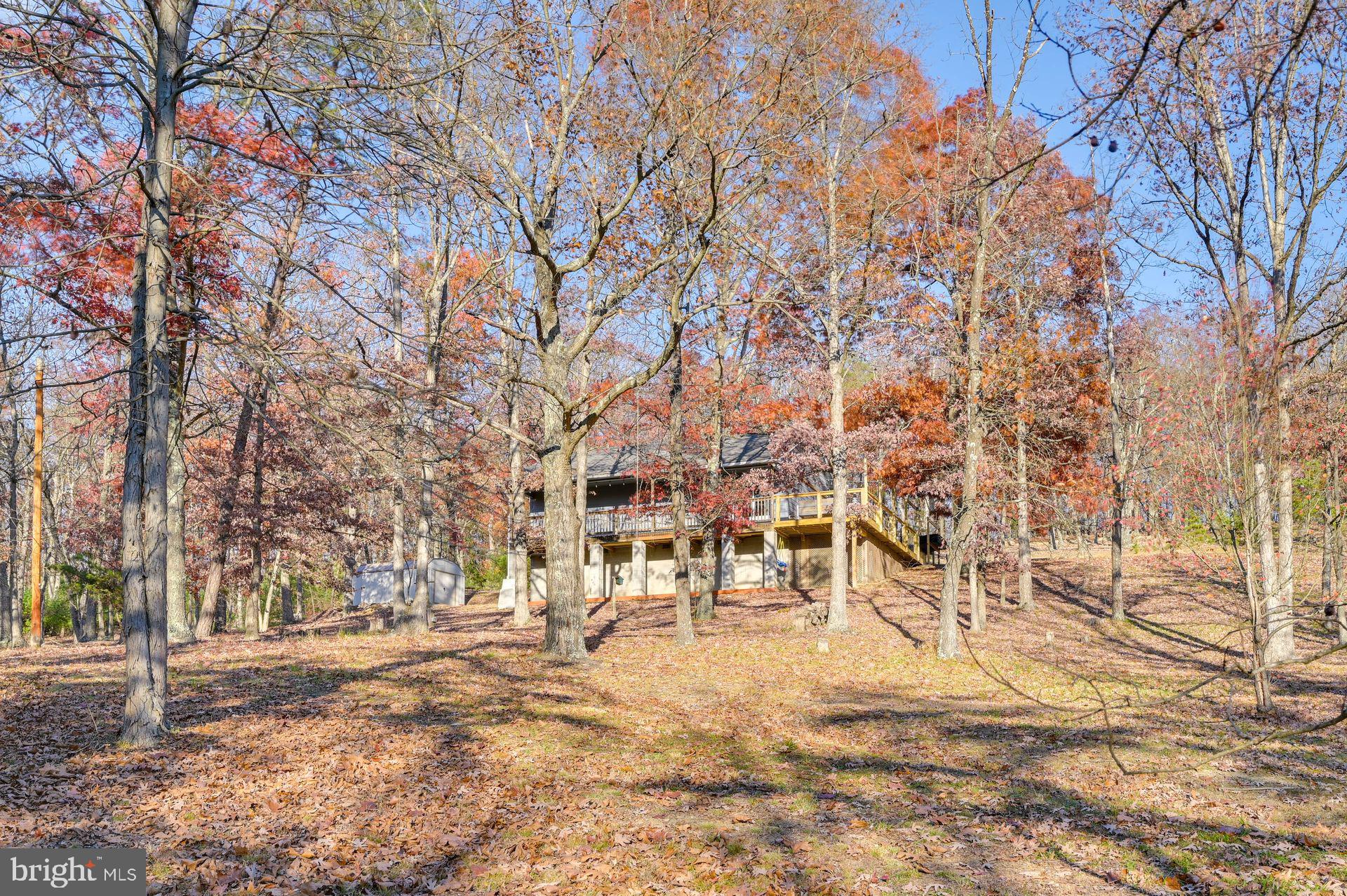 254 Antler Road Springfield, WV 26763 - Photo 27 of 27