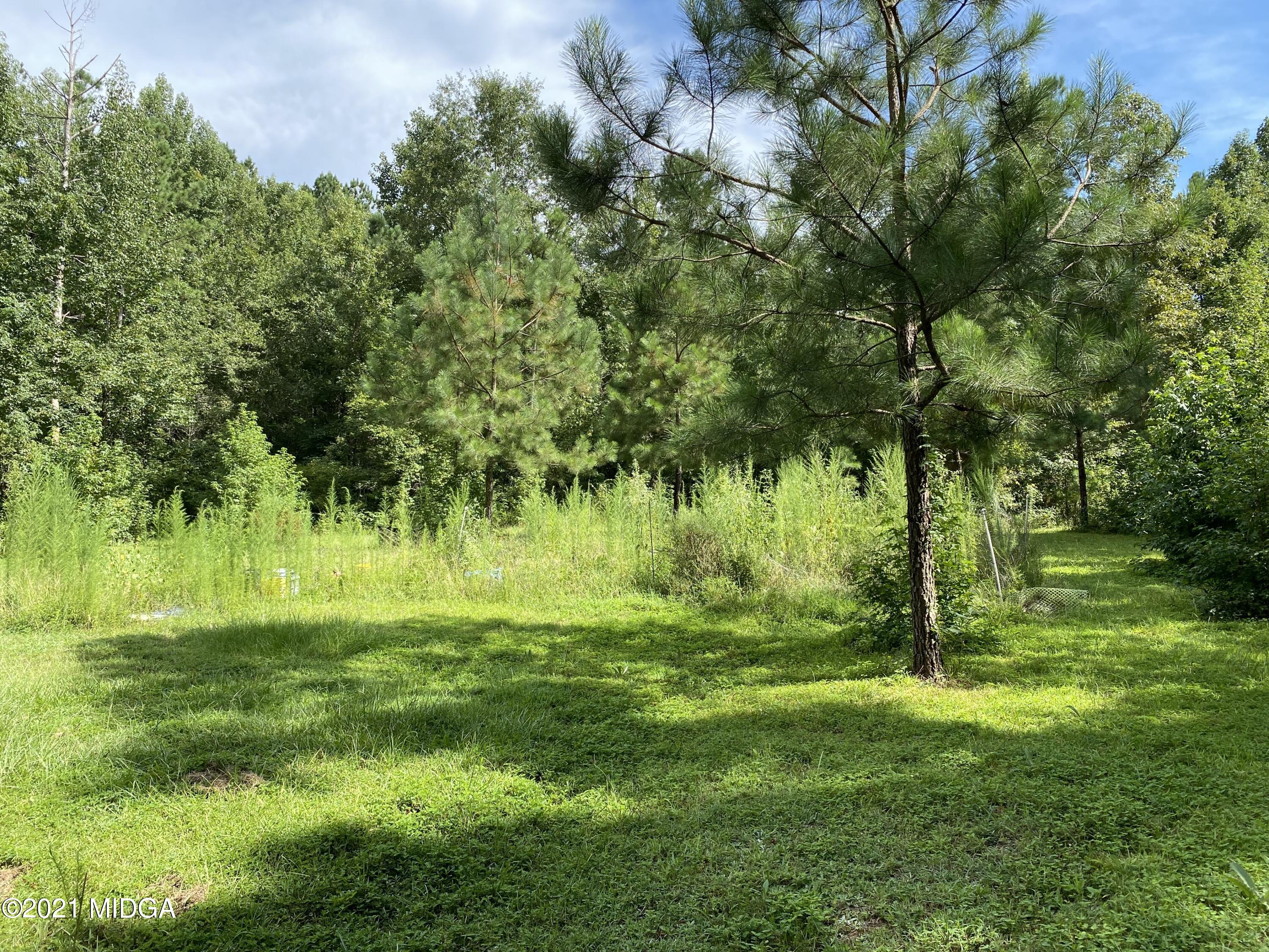 1351 Taylor Road Juliette, GA 31046 - Photo 11 of 14 a view of a trees in a yard