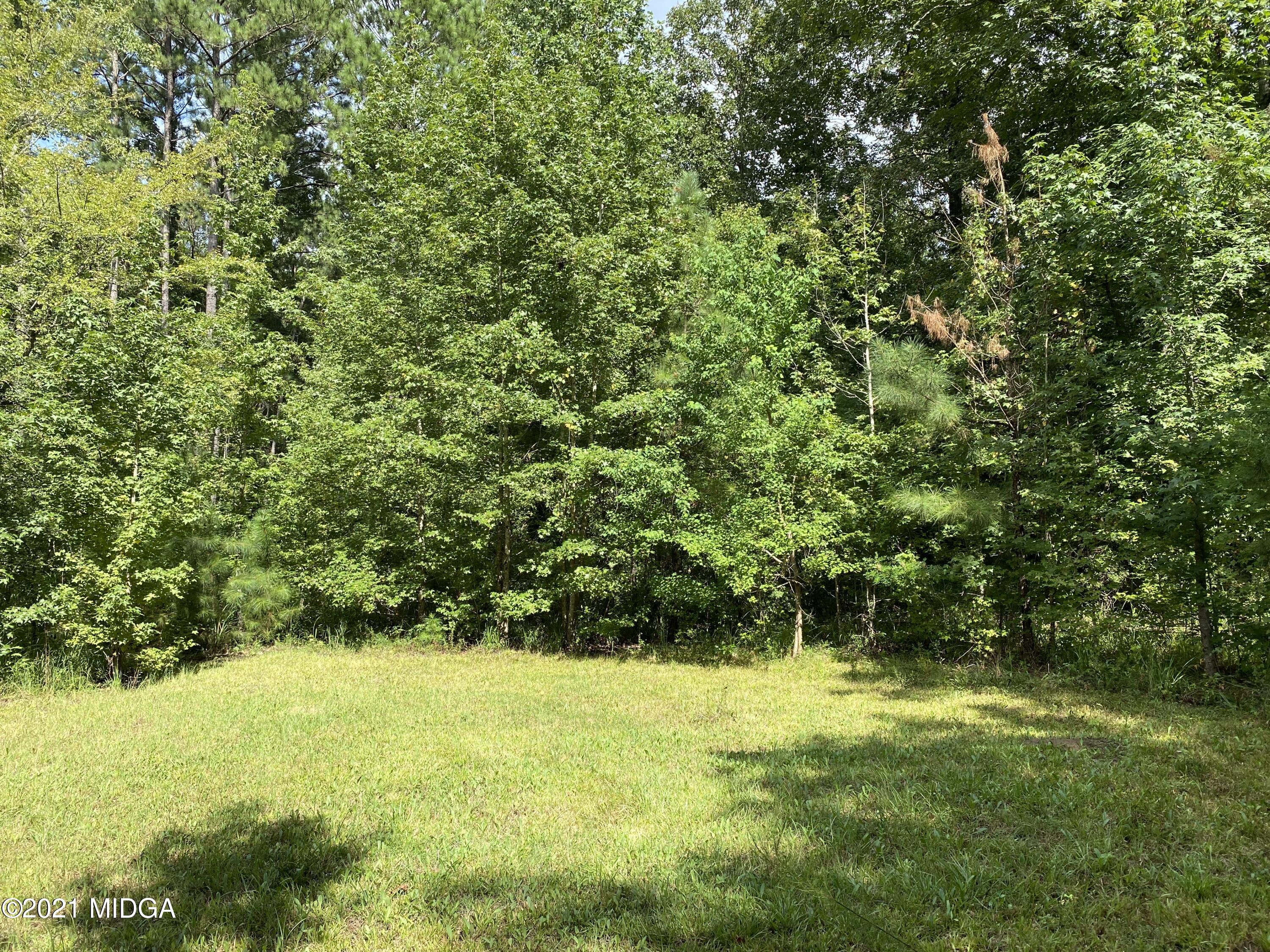 1351 Taylor Road Juliette, GA 31046 - Photo 14 of 14 a view of outdoor space and yard
