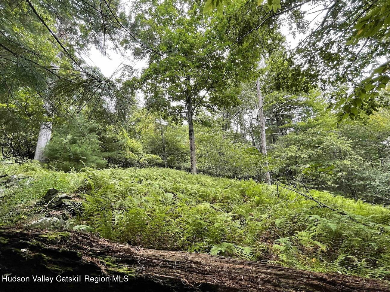 0 Oak Ridge Road Ellenville, NY 12428 - Photo 11 of 18 Hill10ac9