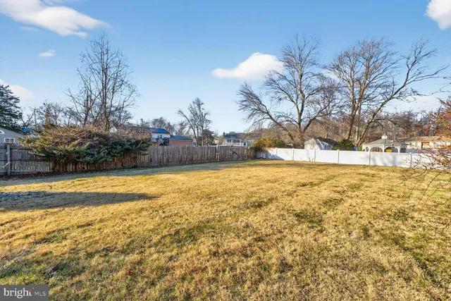 a view of a yard with a tree