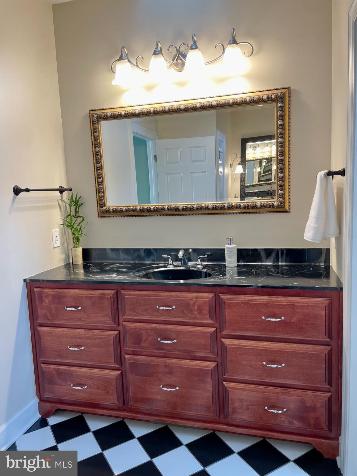 135 Fernleaf Court State College, PA 16801 - Photo 30 of 53 a bathroom with a sink and a mirror