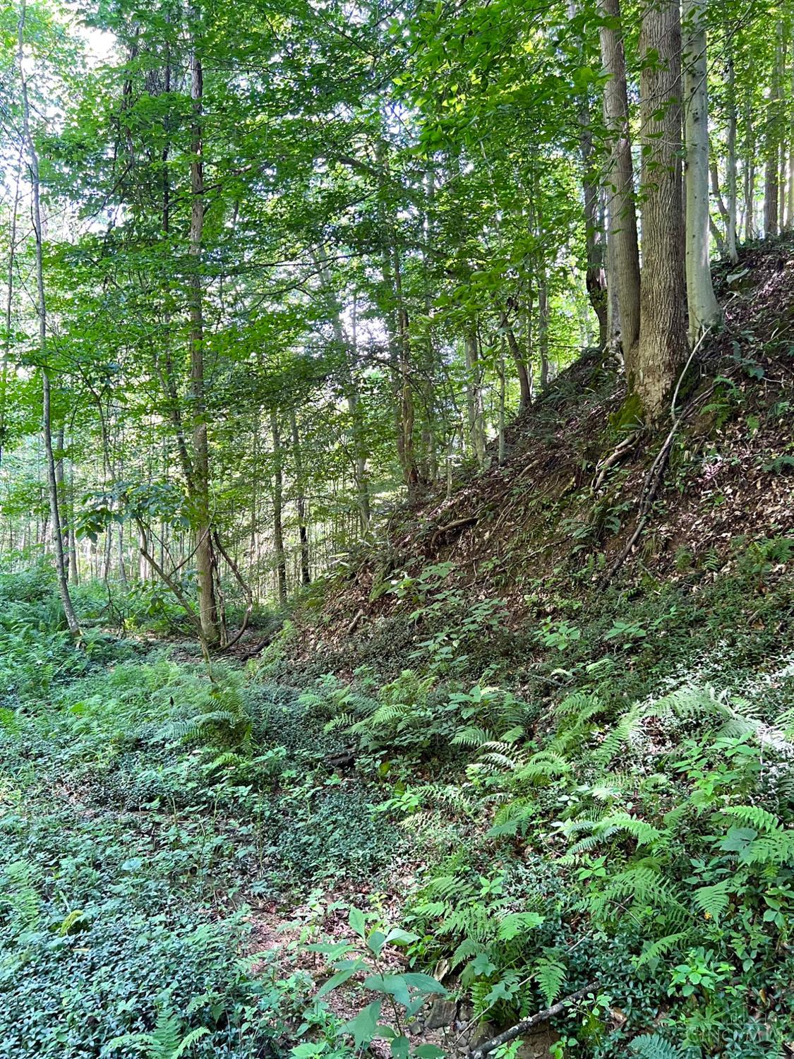 0 South Chenoweth Fork Road Piketon, OH 45661 - Photo 66 of 95