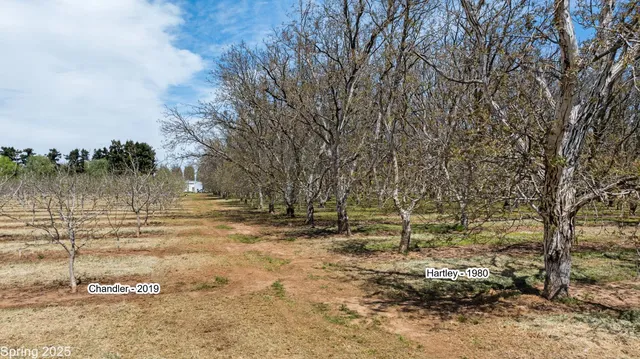 $880,000 | 5210 North Fine Road, Linden, CA 95236