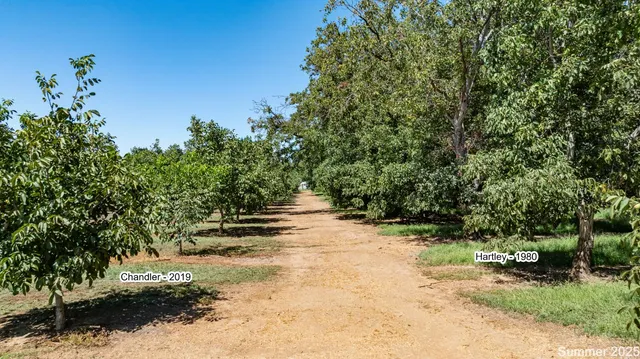 $880,000 | 5210 North Fine Road, Linden, CA 95236