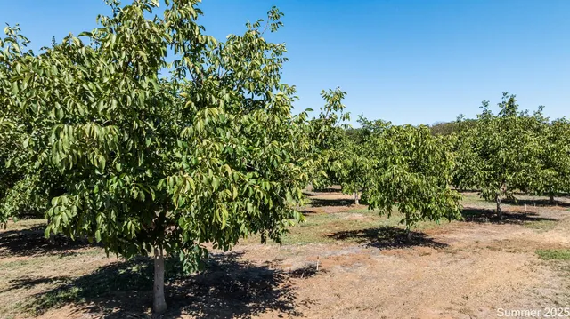 $880,000 | 5210 North Fine Road, Linden, CA 95236