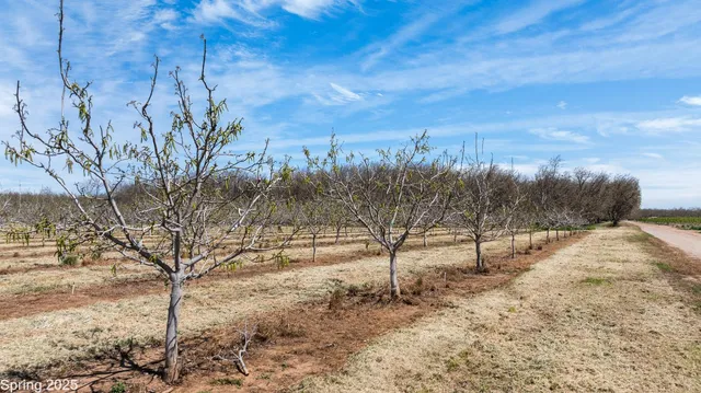 $880,000 | 5210 North Fine Road, Linden, CA 95236