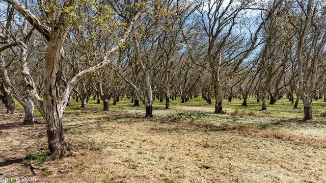 $880,000 | 5210 North Fine Road, Linden, CA 95236