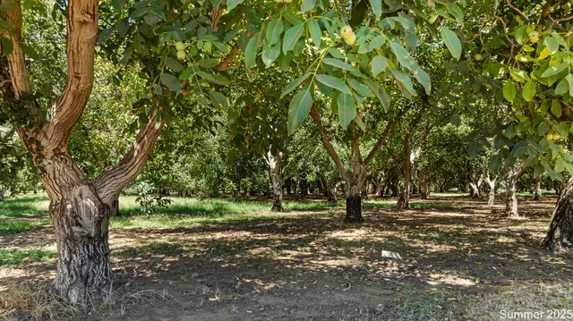 $880,000 | 5210 North Fine Road, Linden, CA 95236