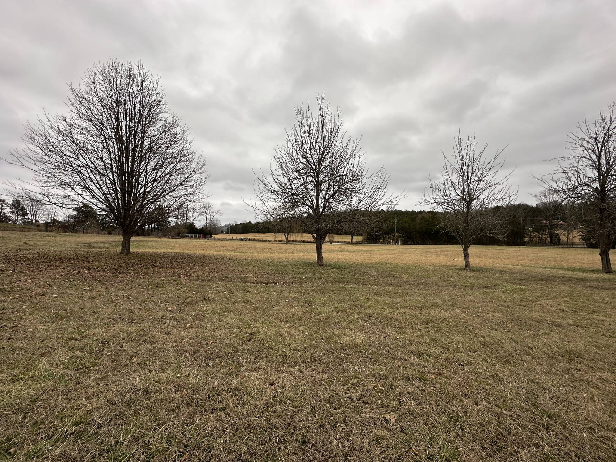 823 Shaw Road Cornersville, TN 37047 - Photo 11 of 11 Gallery Image 11