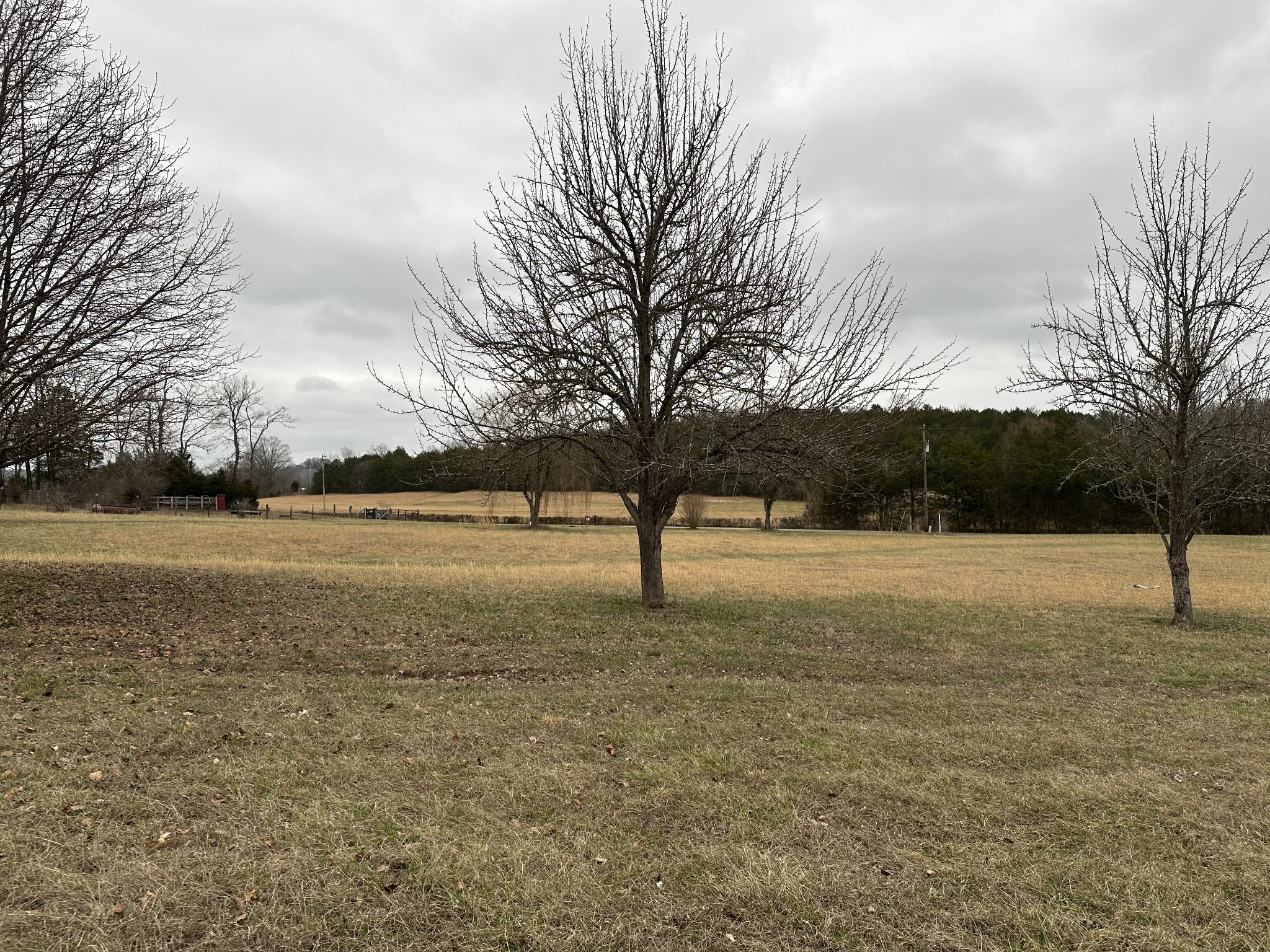 823 Shaw Road Cornersville, TN 37047 - Photo 2 of 11 Gallery Image 2