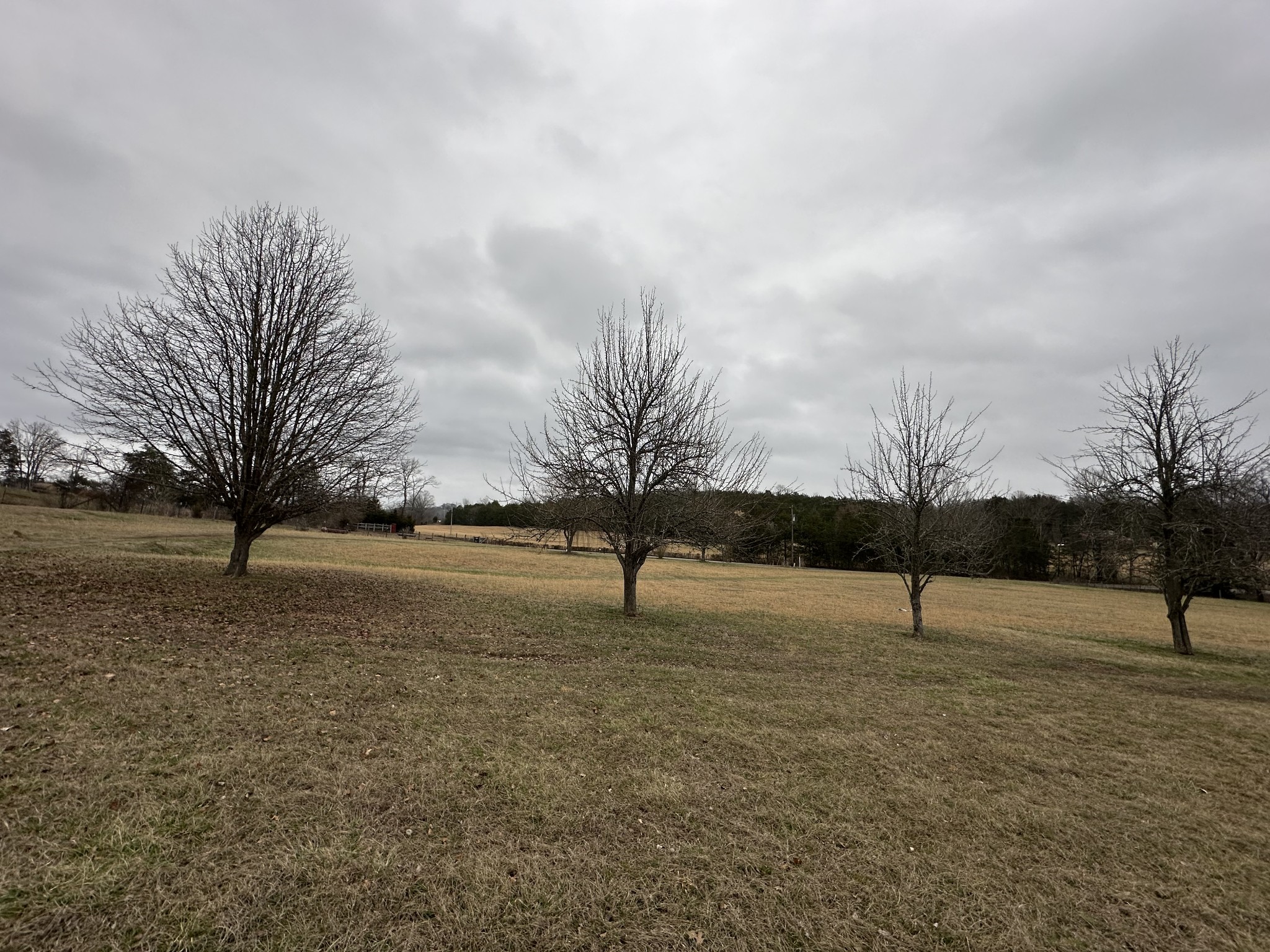 823 Shaw Road Cornersville, TN 37047 - Photo 3 of 11 Gallery Image 3