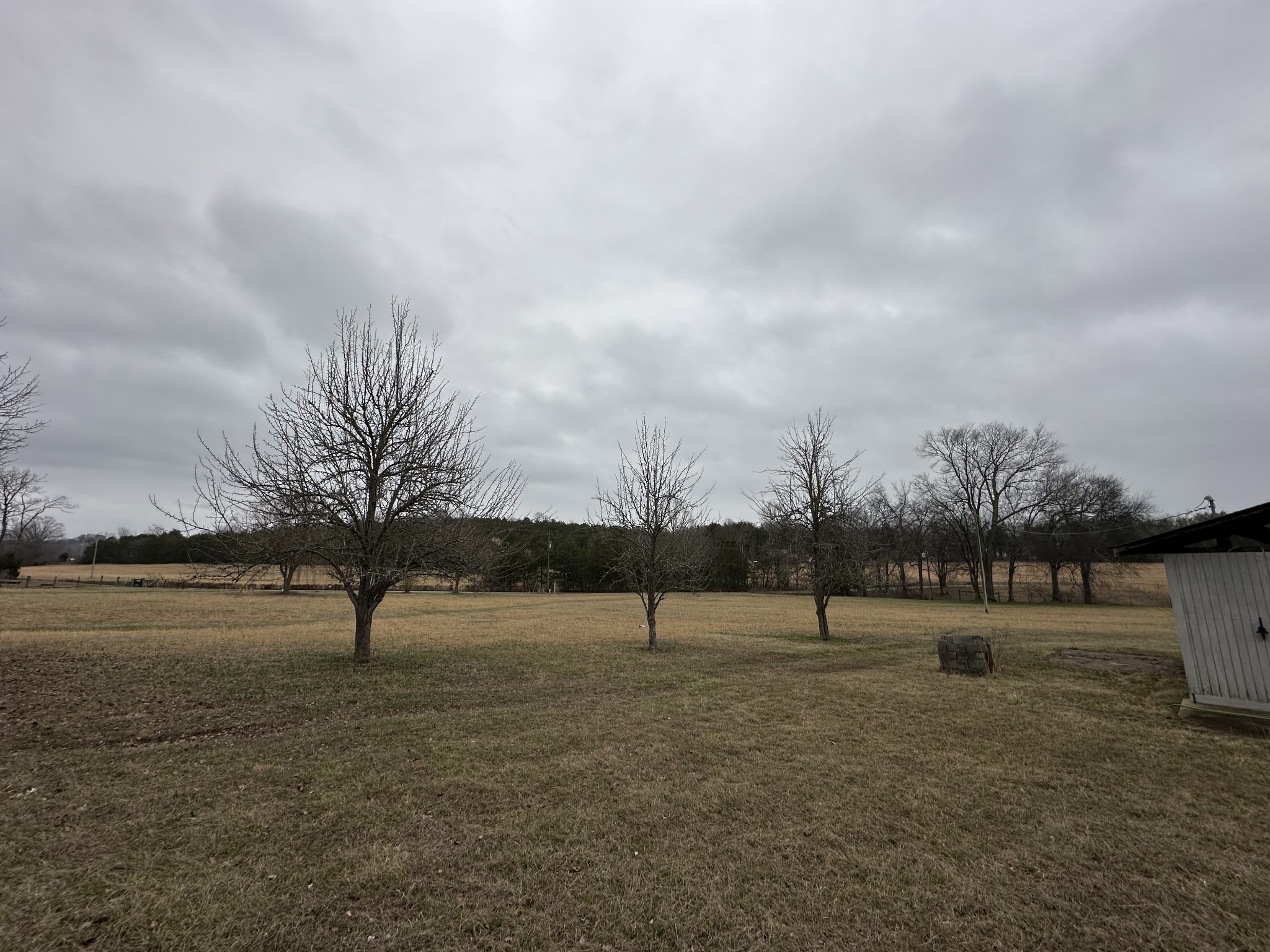 823 Shaw Road Cornersville, TN 37047 - Photo 4 of 11 Gallery Image 4