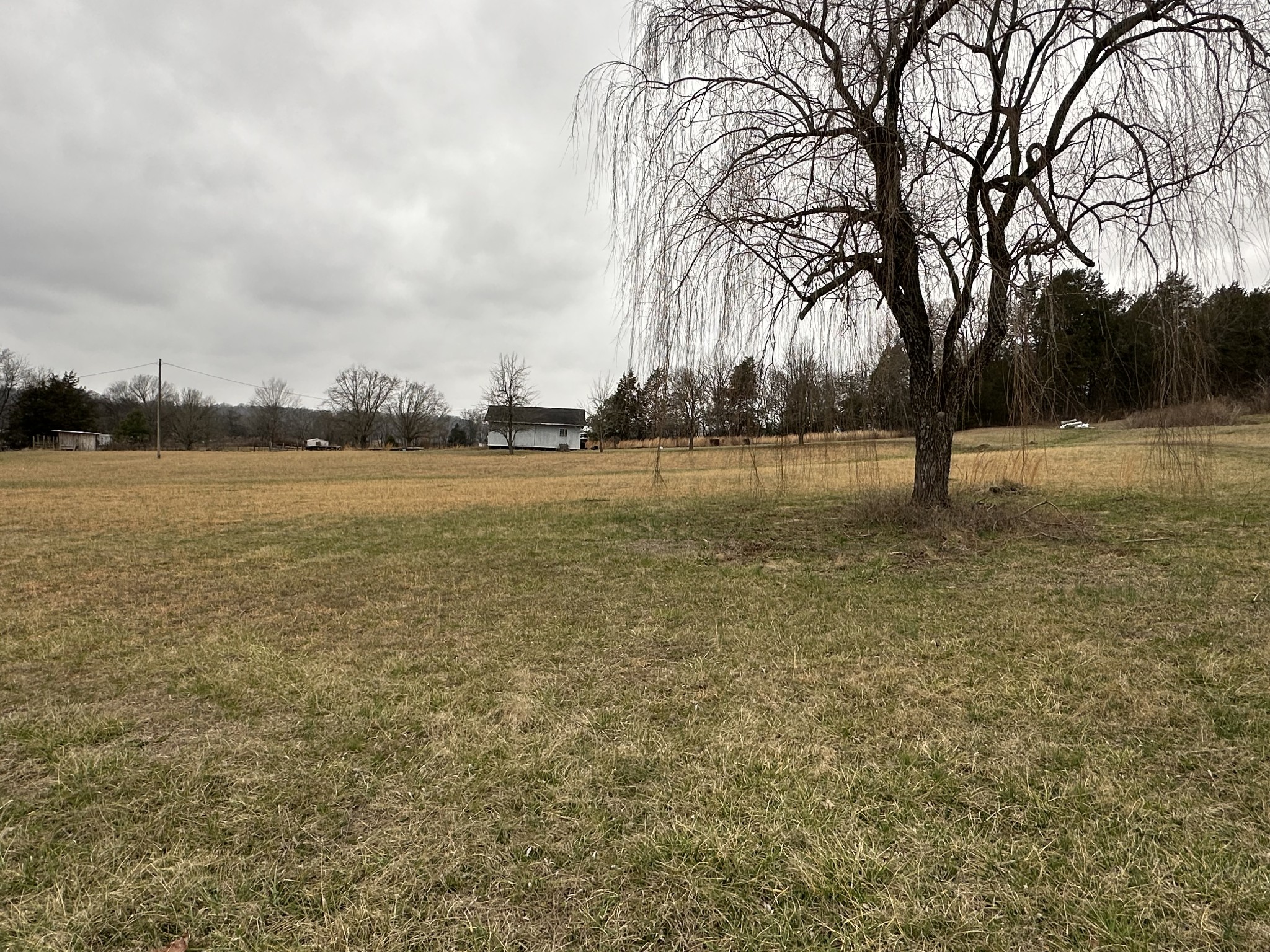 823 Shaw Road Cornersville, TN 37047 - Photo 6 of 11 Gallery Image 6