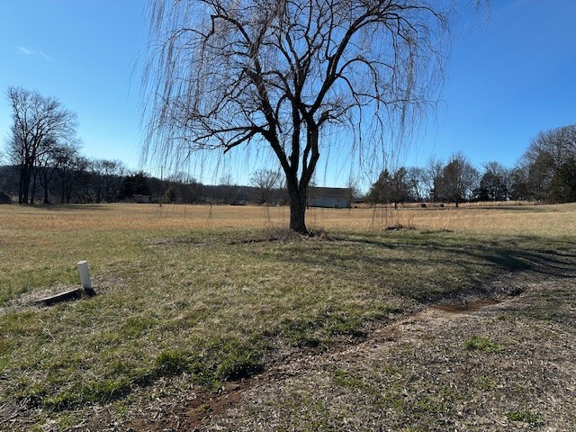 823 Shaw Road Cornersville, TN 37047 - Photo 8 of 11 Gallery Image 8