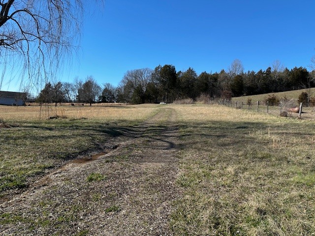 823 Shaw Road Cornersville, TN 37047 - Photo 9 of 11 Gallery Image 9