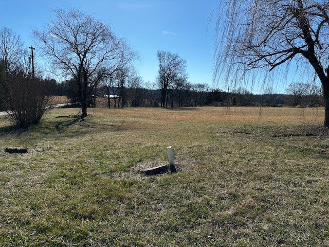 823 Shaw Road Cornersville, TN 37047 - Photo 10 of 11 Gallery Image 10