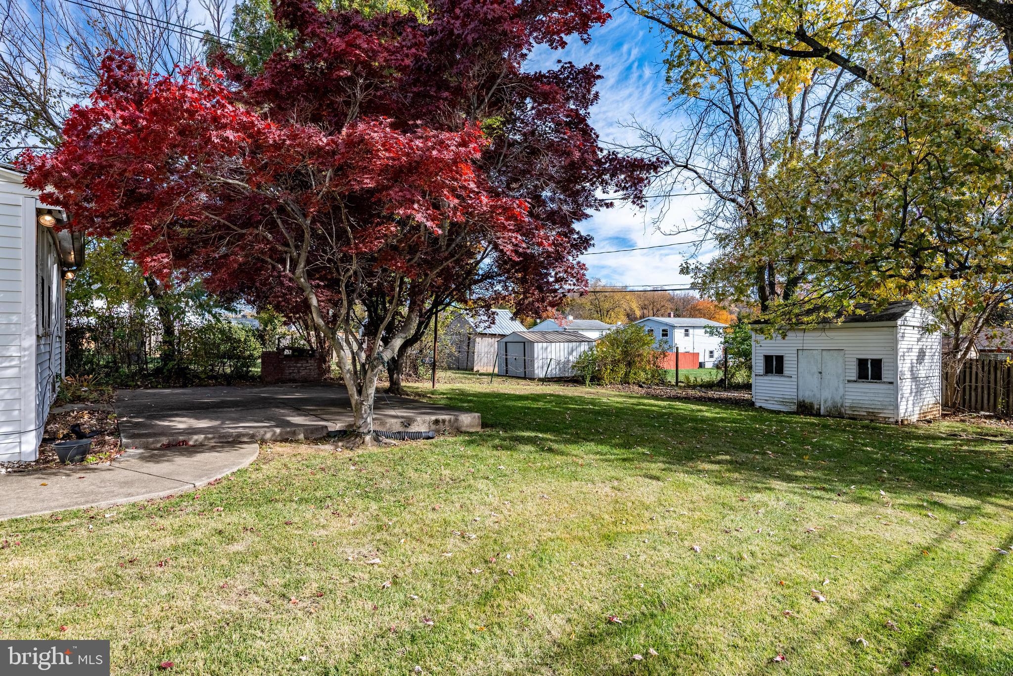 3621 Washington Avenue Baltimore, MD 21244 - Photo 23 of 25 a backyard of a house with plants and large tree