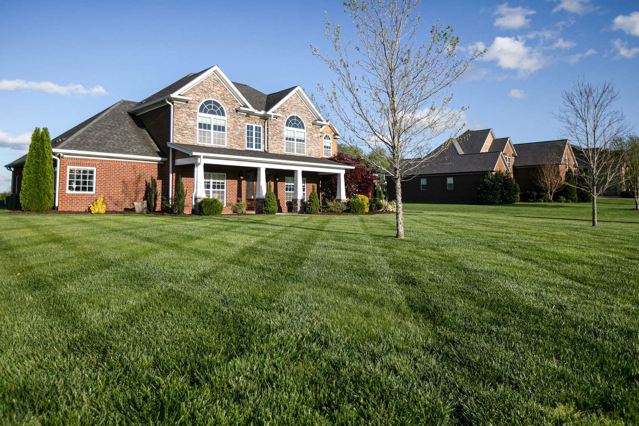 2104 Berry Patch Road Thompson's Station, TN 37064 - Photo 2 of 50 a front view of a house with a yard