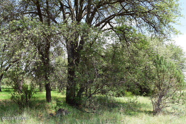 Umpire Ranch Road Elgin, AZ 85611 - Photo 6 of 27