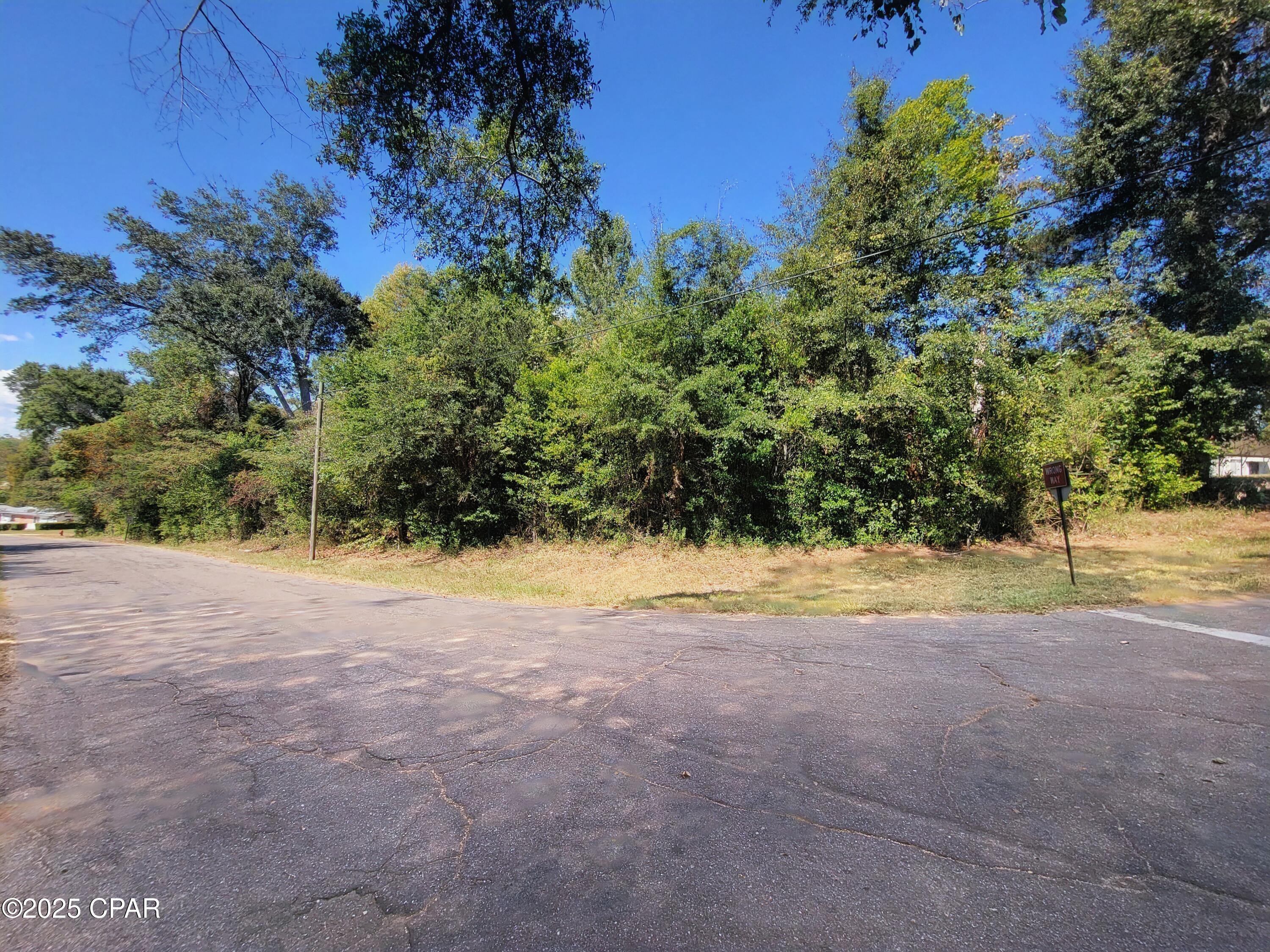 0 River Road Marianna, FL 32446 - Photo 1 of 5