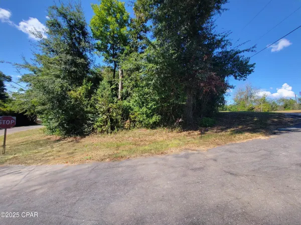 $85,000 | 0 River Road, Marianna, FL 32446