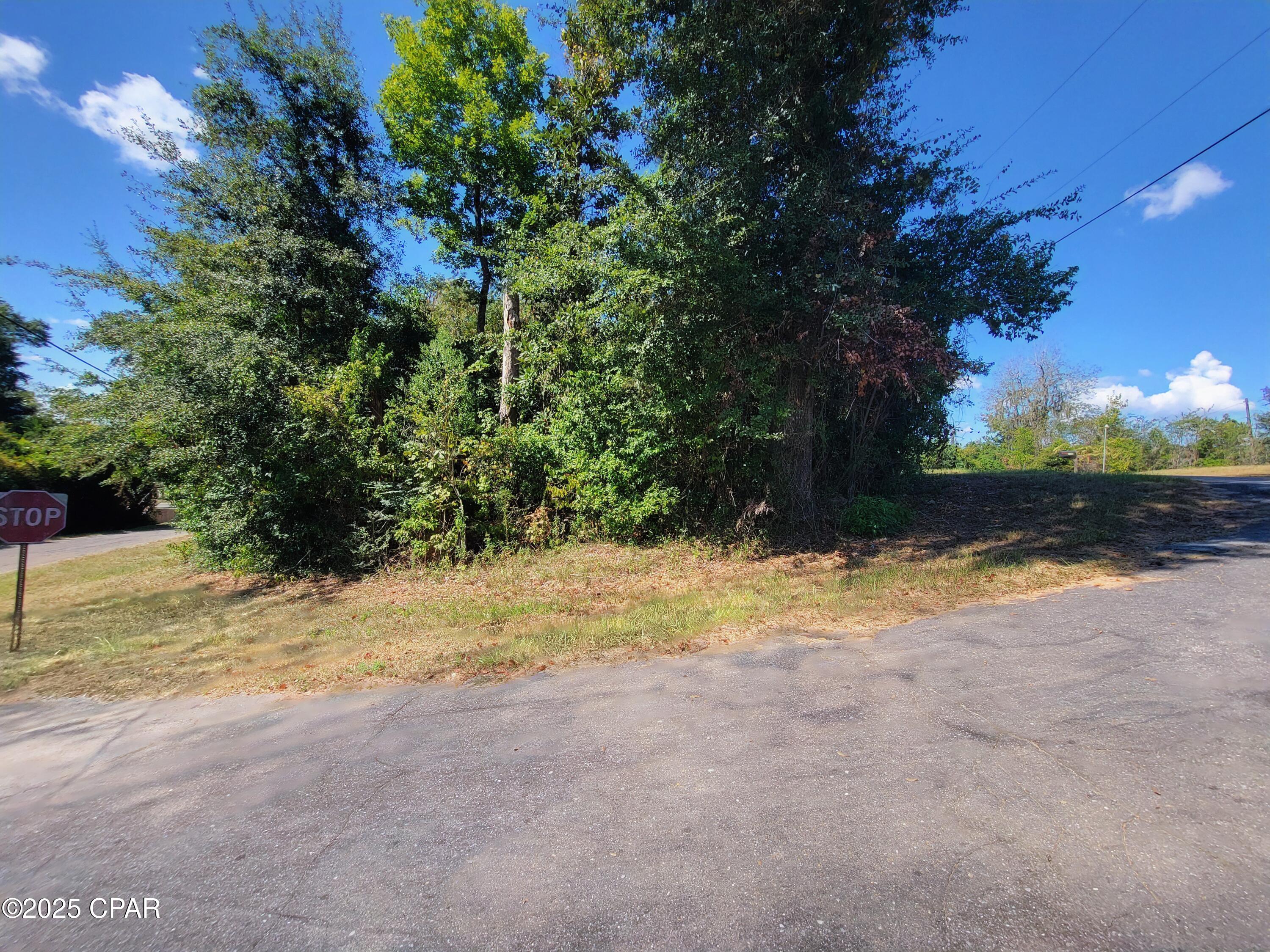 0 River Road Marianna, FL 32446 - Photo 4 of 5