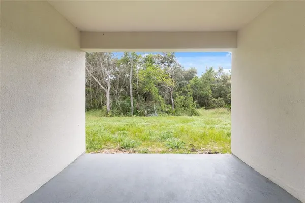 a view of a garden from a window