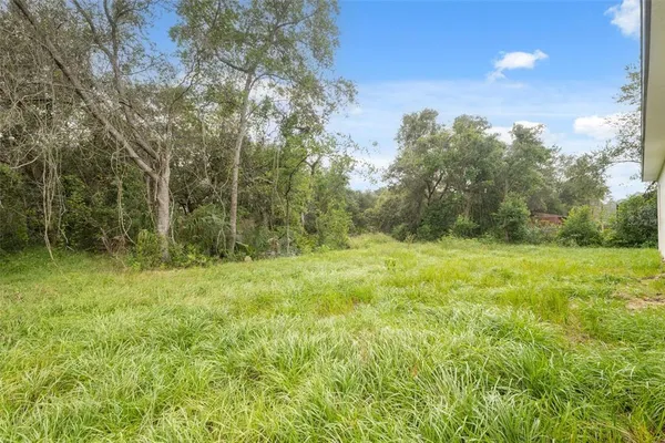 a view of outdoor space and yard