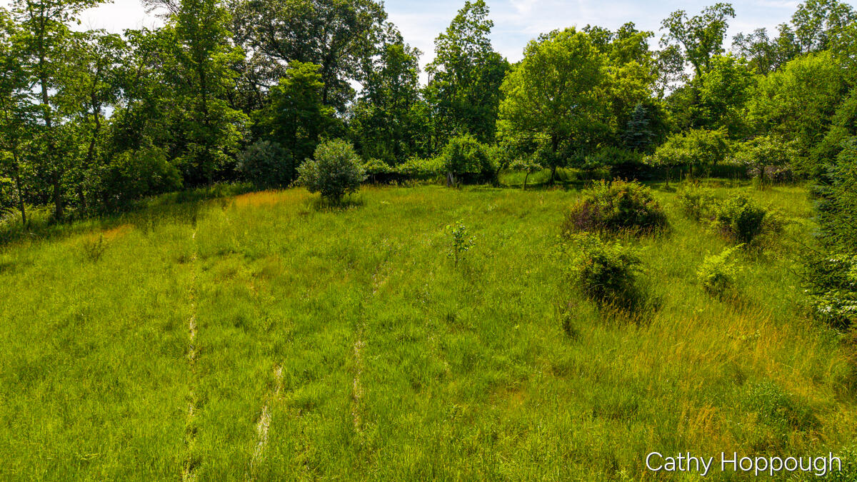 8152 Murphy Road Lyons, MI 48851 - Photo 65 of 70 8152_Murphy_CATHY-34