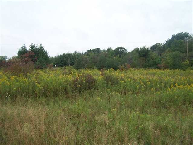 7718 Comstock Road Avoca, MI 48006 - Photo 8 of 15 31070161-7.JPG
