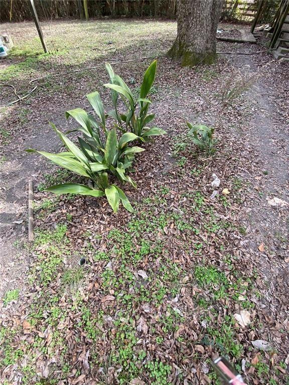 320 Old Perry Road Marshallville, GA 31057 - Photo 18 of 72