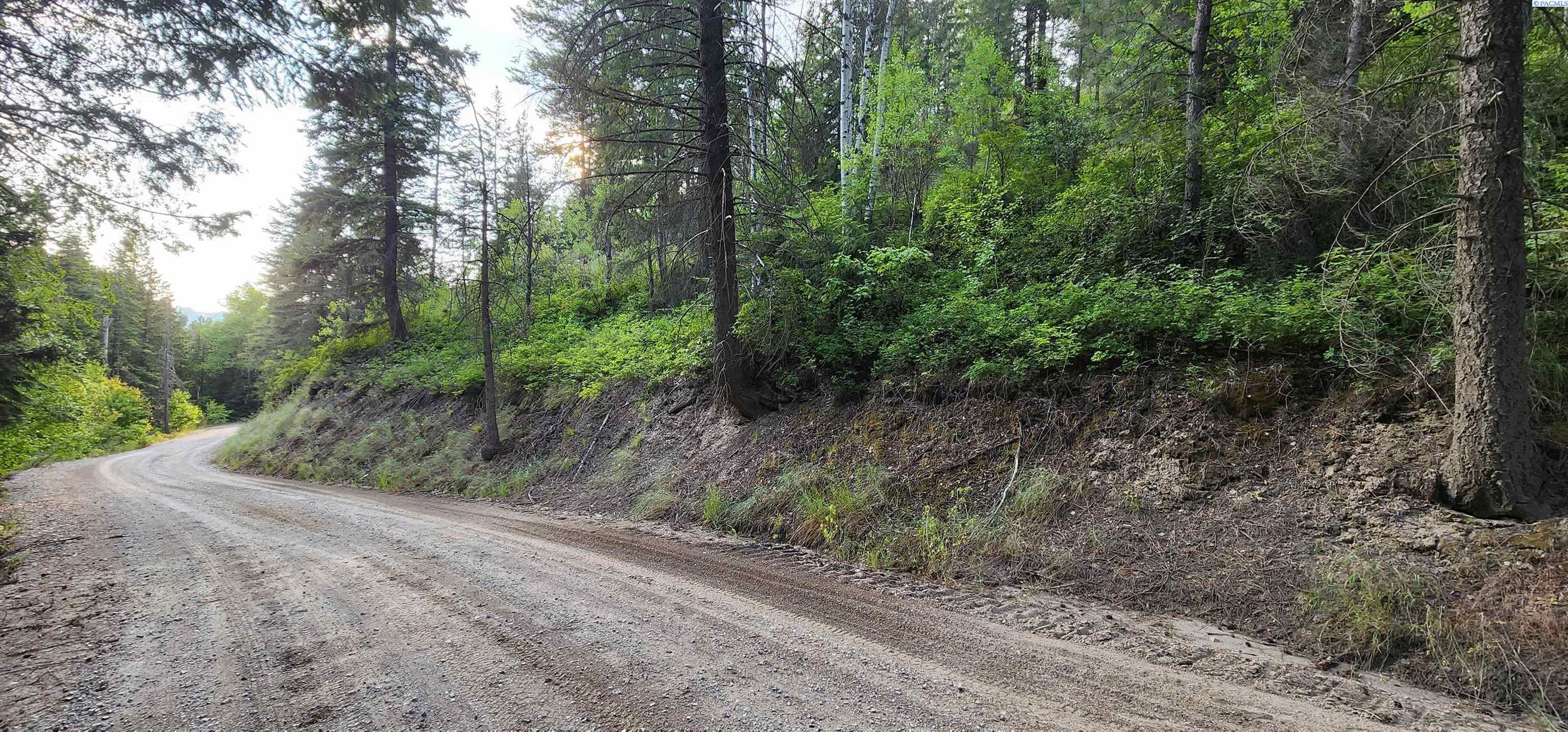 1555 Comstock Mine Road Colville, WA 99114 - Photo 4 of 26 Gallery Image 4