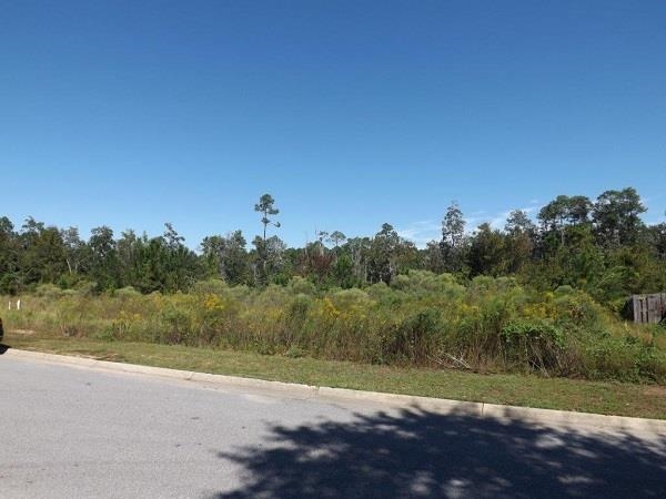 2428 Pine Forest Road Cantonment, FL 32533 - Photo 1 of 6 Gallery Image 1