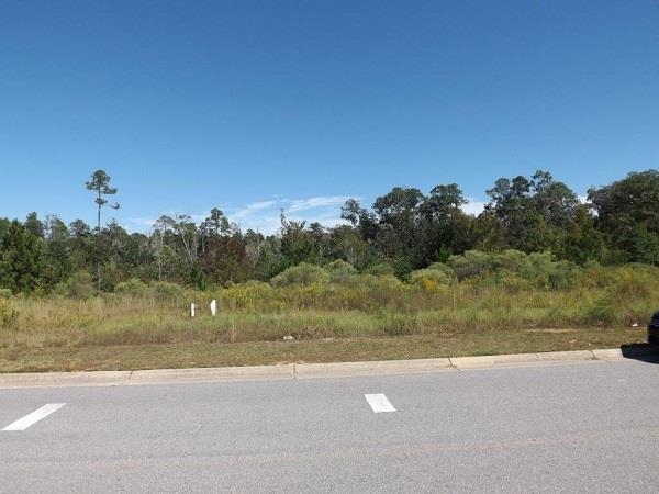 2428 Pine Forest Road Cantonment, FL 32533 - Photo 3 of 6 Gallery Image 3