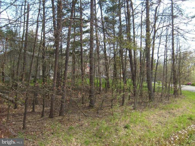 0 Downhill Circle Cross Junction, VA 22625 - Photo 1 of 1 a view of forest