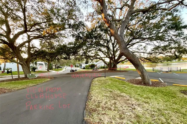 a view of swimming pool with garden