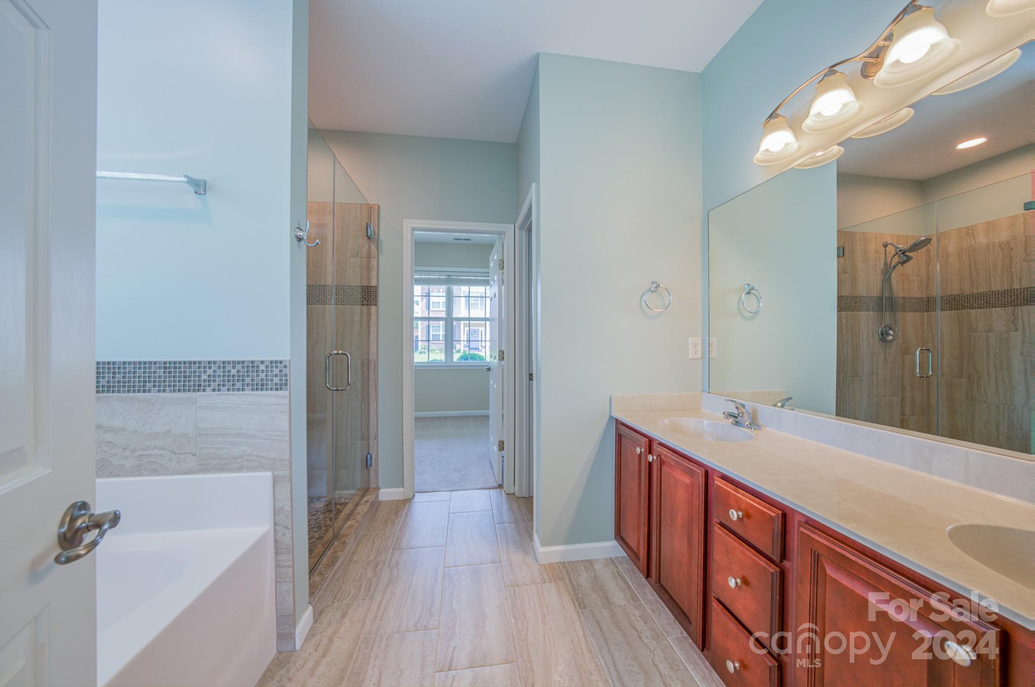 234 Roanoke Road Fletcher, NC 28732 - Photo 8 of 24 a bathroom with a sink a mirror and a bathtub