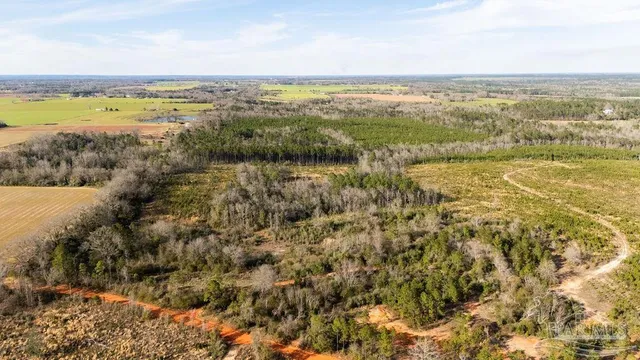 a view of city and ocean