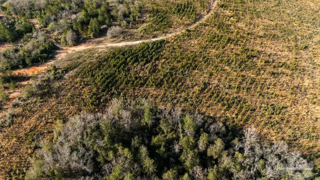 a view of a yard of a building