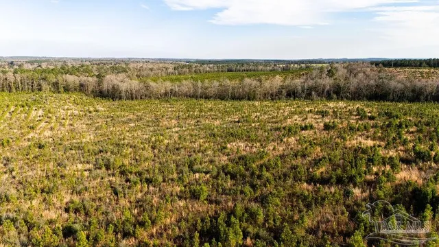a view of lake and mountain