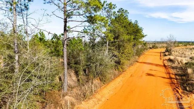 a view of a yard of the building