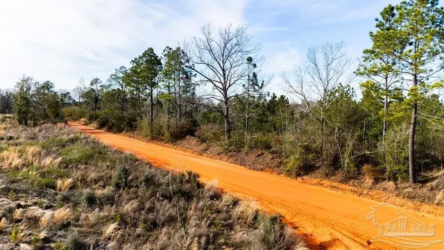 a view of a snow on a road