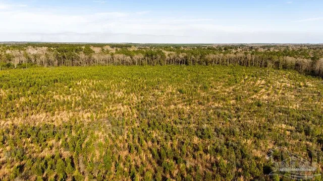 a view of an ocean from a city