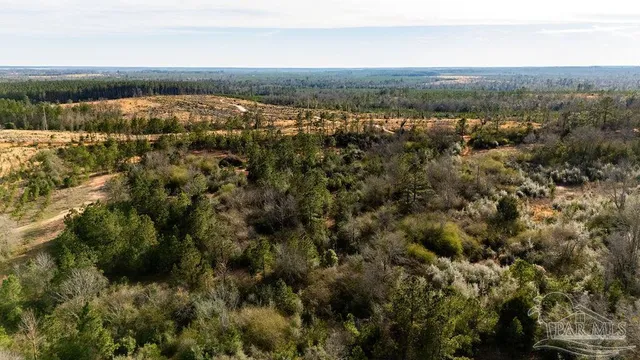 an aerial view of residential building and green space
