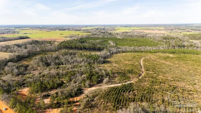 a view of an ocean and beach