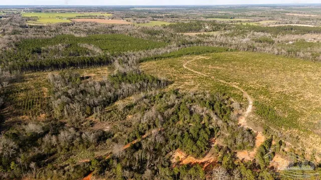 an aerial view of residential houses with outdoor space and trees