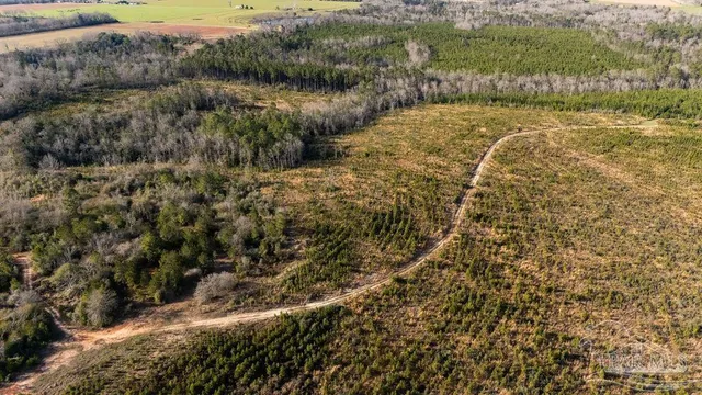 a view of lake with green space
