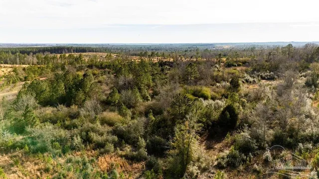 a view of city and mountain